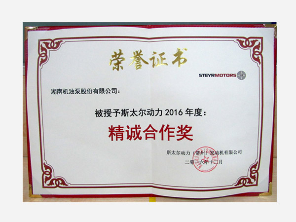 Service Award(3)